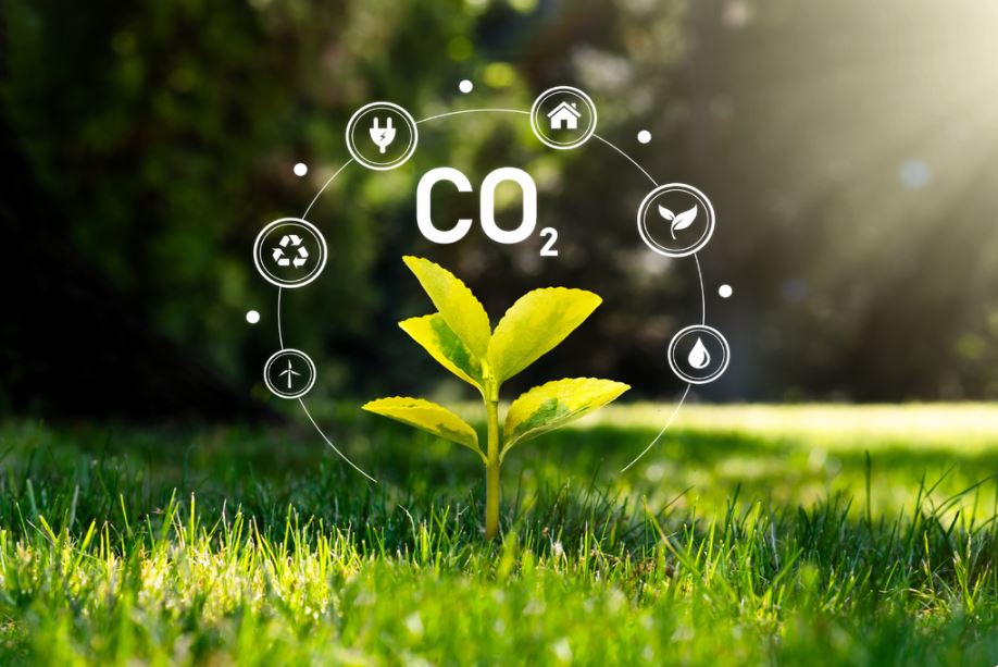 Crédito de Carbono: Oportunidades para Projetos Sociais e Ambientais