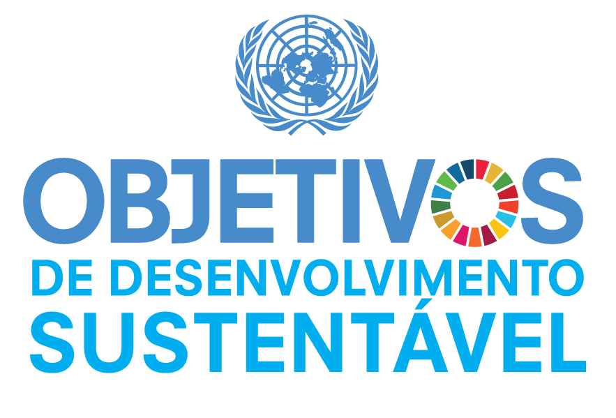 ODS na Prática: Como Alinhar Seu Projeto Social aos Objetivos Globais
